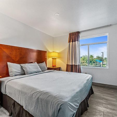 Chandler 1 Bd 1 Ba Fully Renovated Premium Lux Apartment Pets Allowed Eksteriør billede