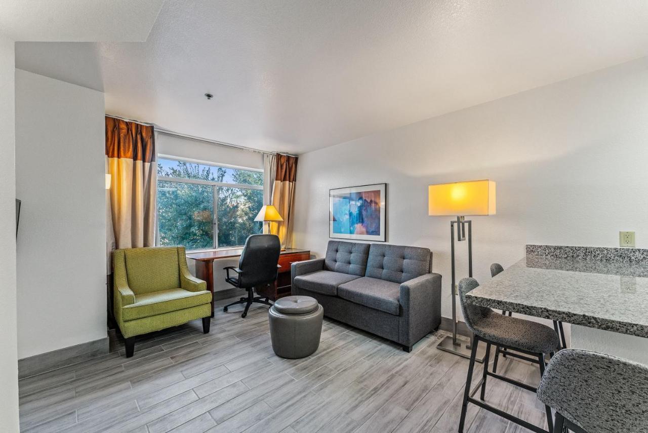 Chandler 1 Bd 1 Ba Fully Renovated Premium Lux Apartment Pets Allowed Eksteriør billede